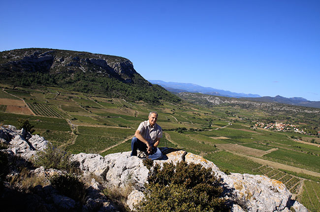 wine professor, languedoc