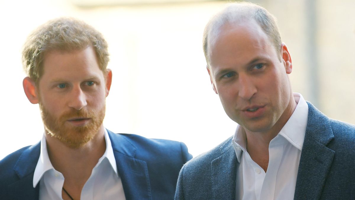 Apparemment, la séparation du prince William et du prince Harry est en réalité entièrement liée à la succession.