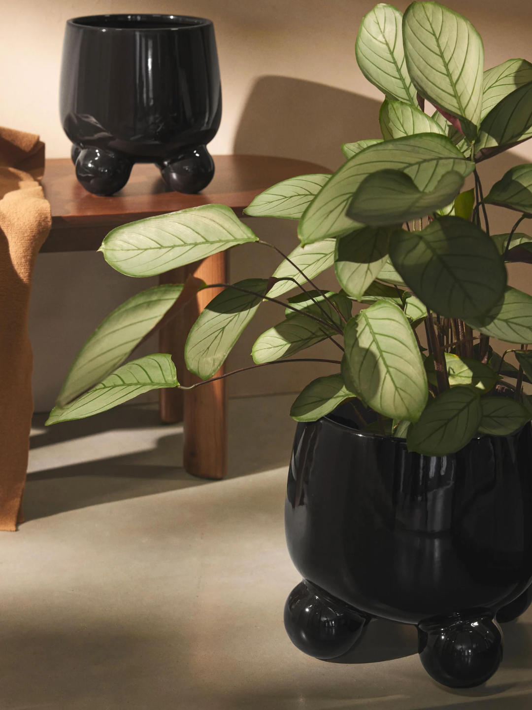 A glossy black planter with round feet from Westwing