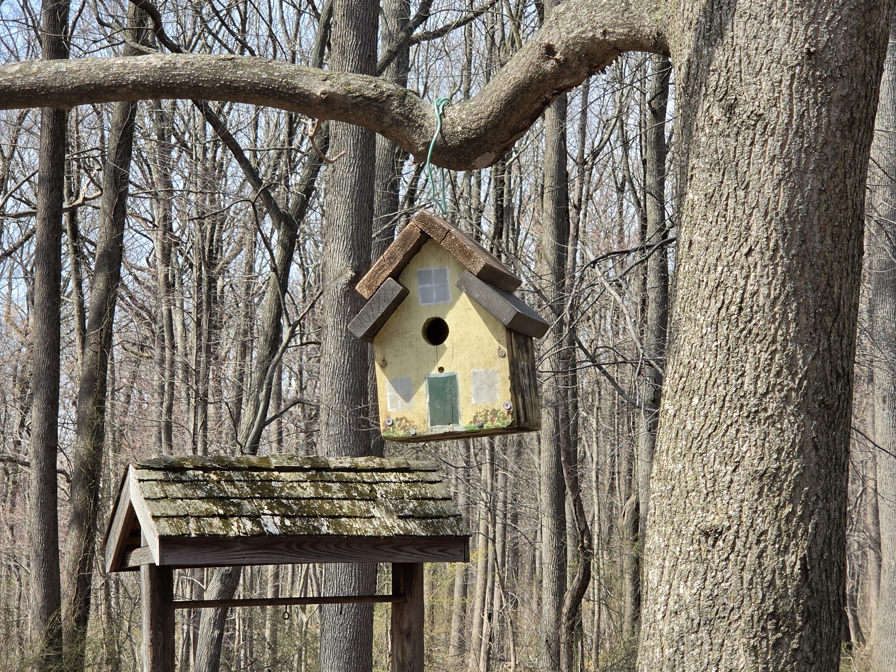 Samsung Galaxy S26 Plus Review Camera Samples