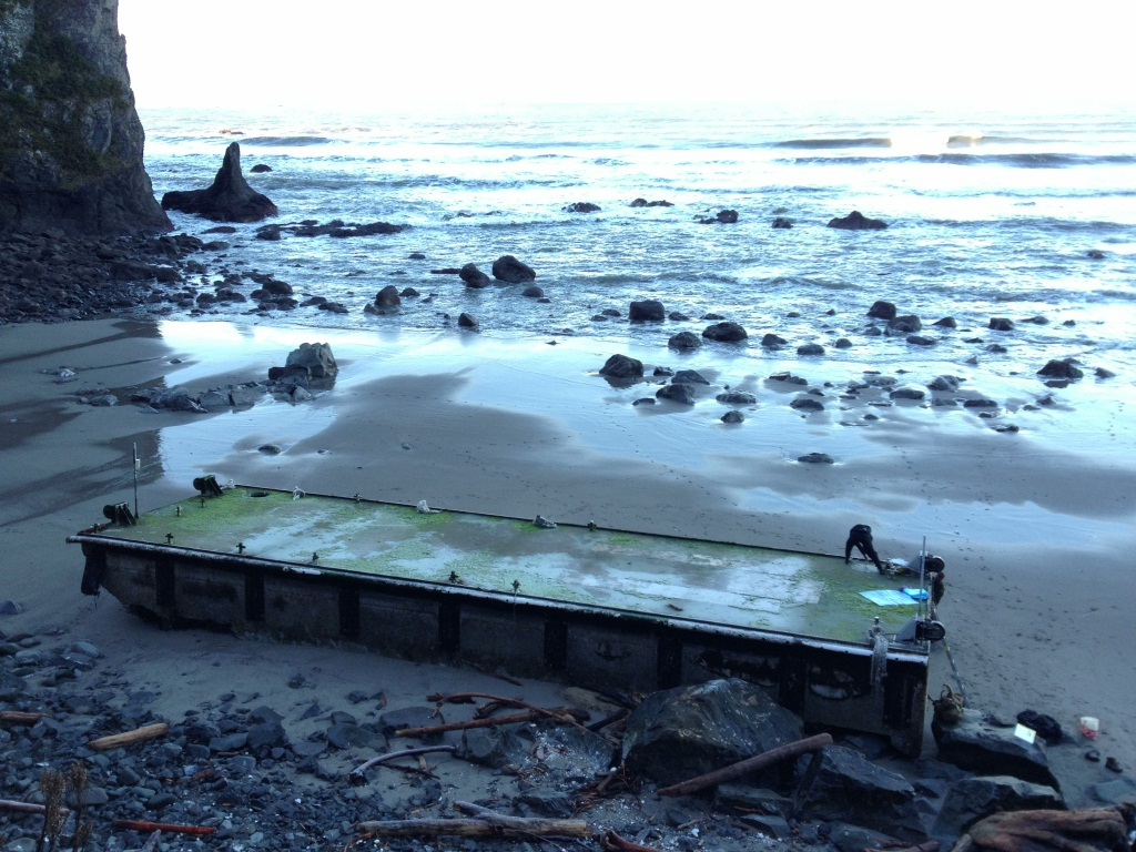 Japan tsunami dock