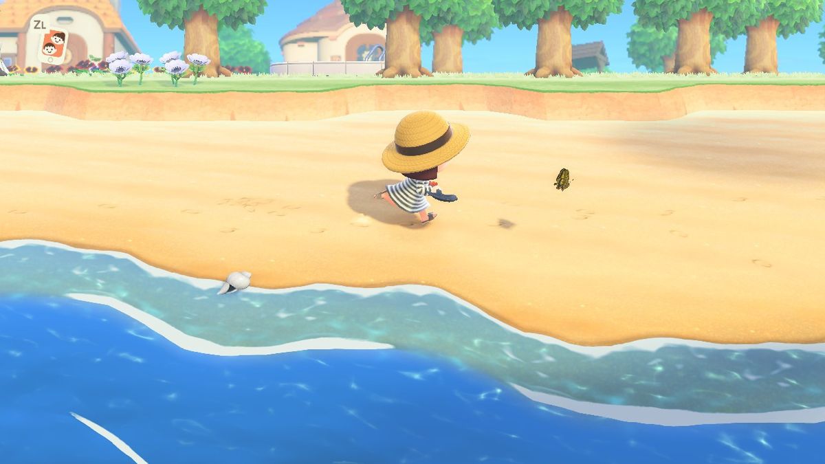 All the Animal Crossing New Horizons Fishing Tourney rewards you can