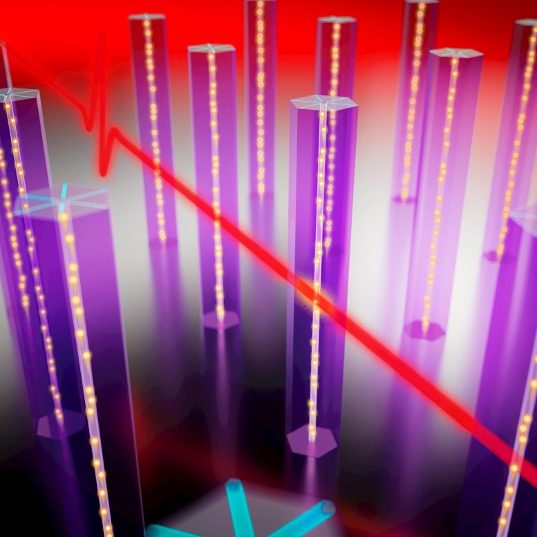 Image provided by the researchers.