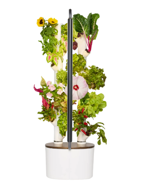 Studio 2 Smart Indoor Hydroponic Garden