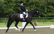 Ricky Balshaw - LJT Engaards Solitaire