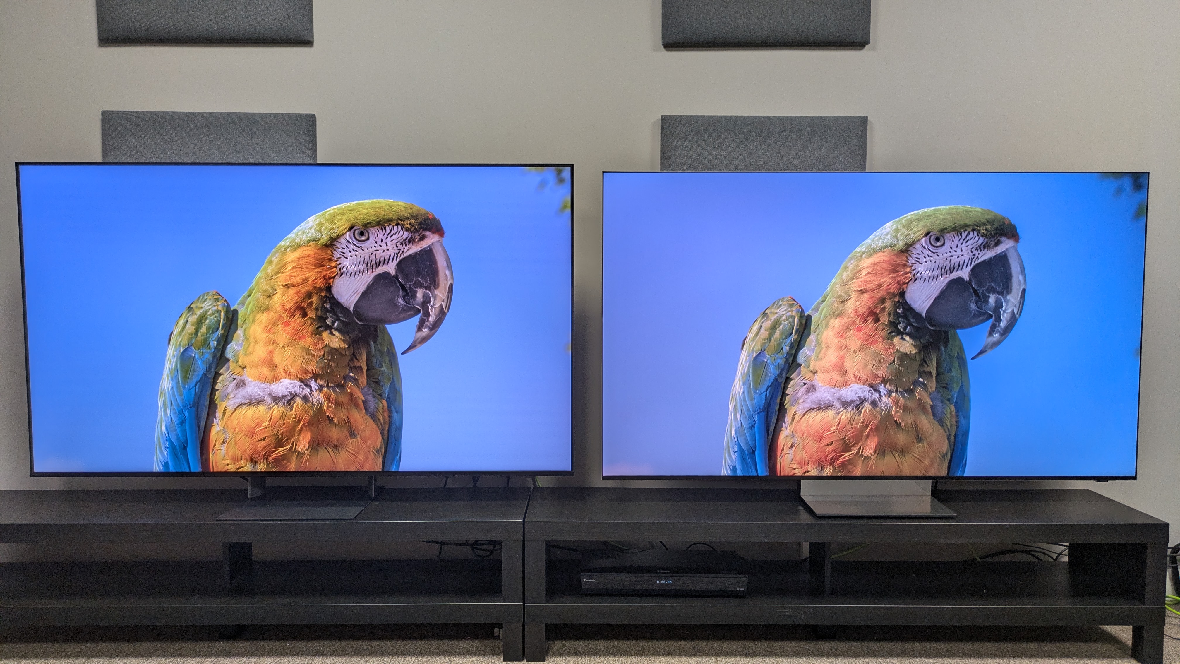 Sony Bravia 7 II (left) vs Samsung R95H (right) showing a parrot on screen. The Bravia 7 II shows more dynamic colors, while the R95H's look brighter