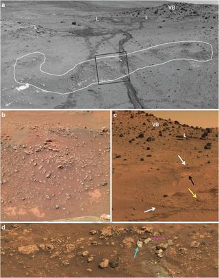 Spirit imagery shows opaline silica nodular outcrops adjacent to Home Plate showing typical stratiform expression. White outline highlights nodular silica outcrop. Rover wheel tracks are roughly 1 meter apart. Rolling wheels did not deform the roughly 6-inch-high high outcrop (lighter tracks) compared with the inoperative dragging wheel in a later traverse (darker track).