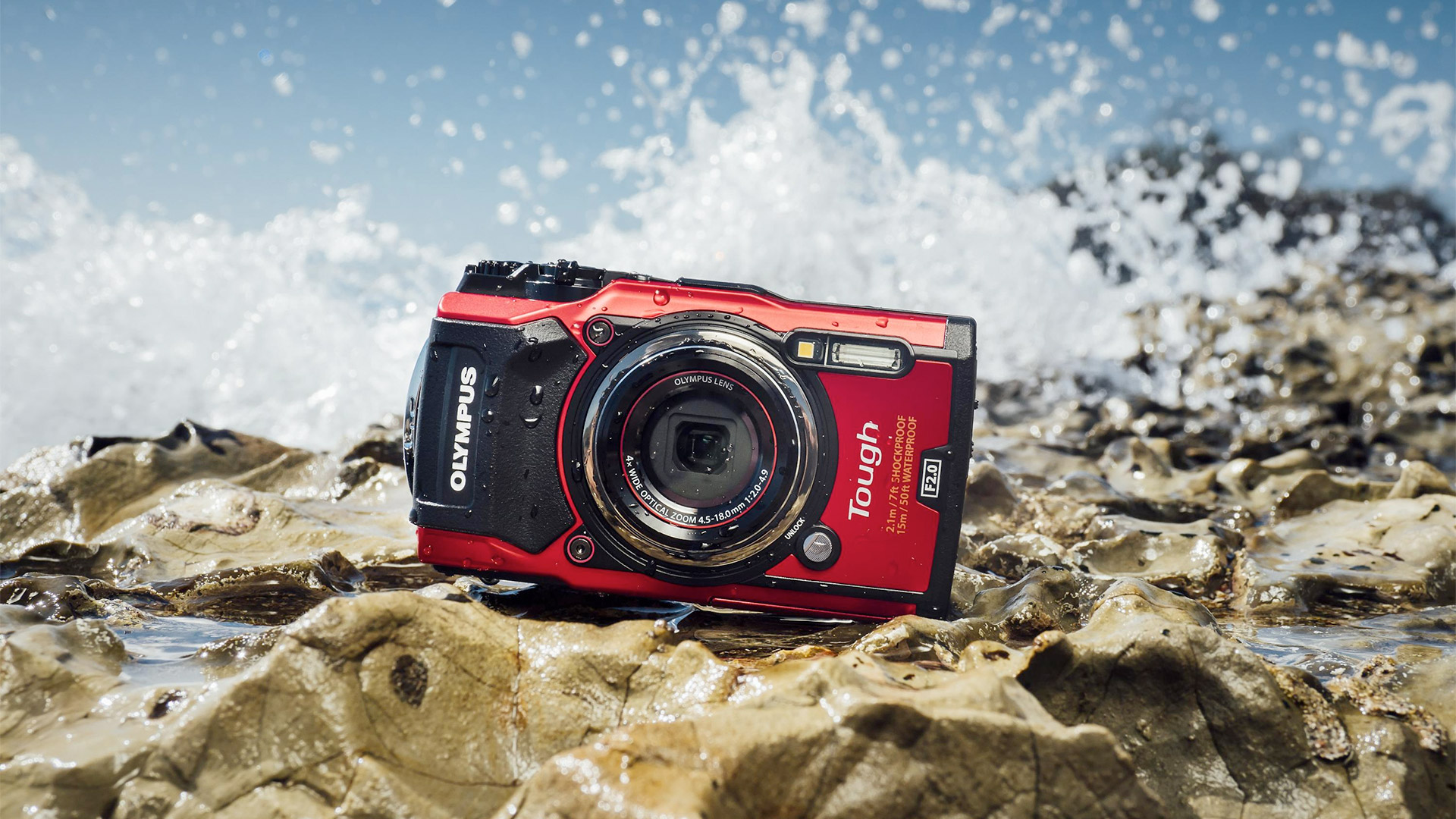 Best compact cameras to buy in 2019