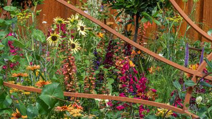 Pink and yellow wildflowers with three copper bars