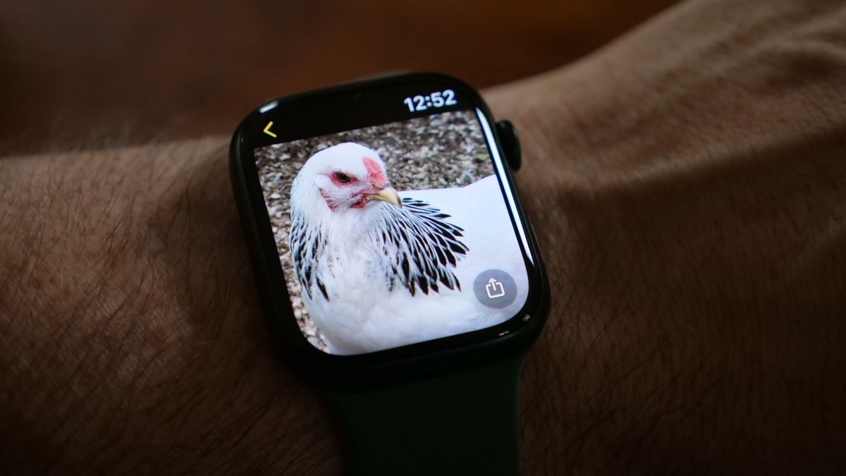 How to change the background picture on your Apple Watch