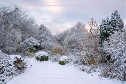 A snowy garden in the UK