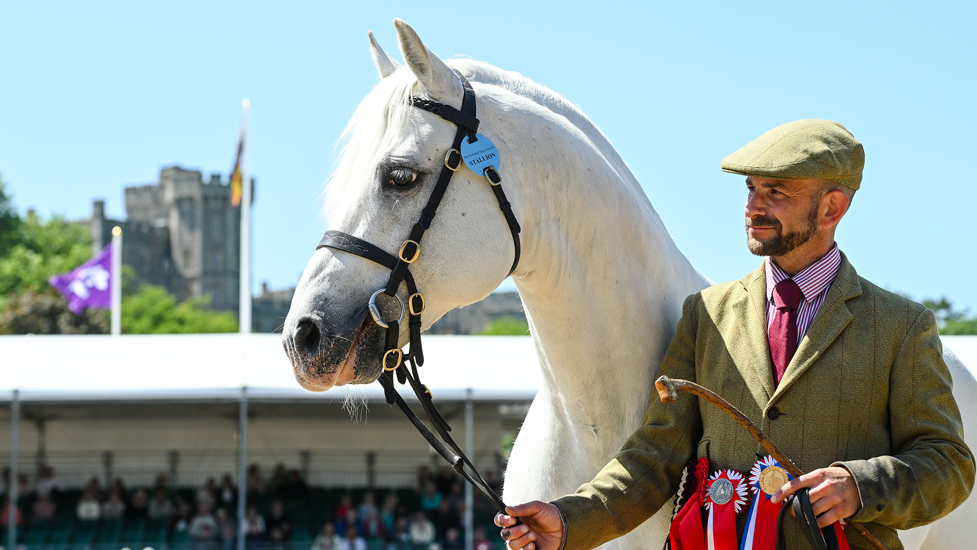 M&amp;amp;M Champion at Windsor standing in front of the Castle