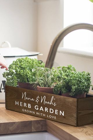 wooden herb planter filled with herbs