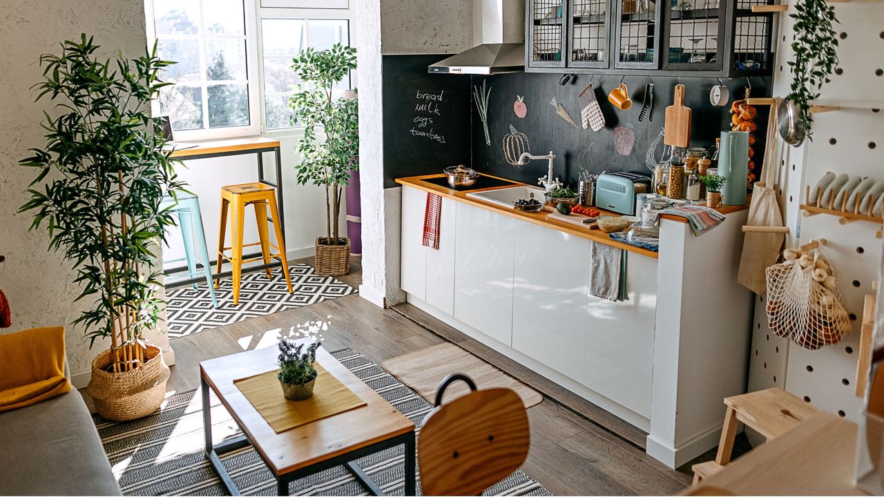 Sunny day in the living room and kitchen, small apartment