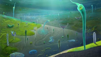 An illustration of a blue and green seabed floor with various paleolithic creatures standing up and swimming around