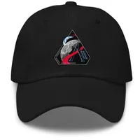 NASA  Artemis 2 Dad Hat