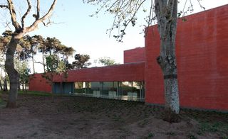 A reddish concrete building with flat roof and tll trees, photographed with clear skies in the background