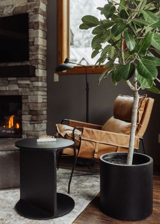 A living room with a fireplace a potted tree and a side table