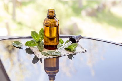 Peppermint oil on a table