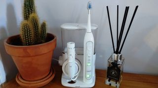 Image shows the Waterpik Complete Care 9.0 electric toothbrush and water flosser resting on a shelf next to a cactus and a reed diffuser.