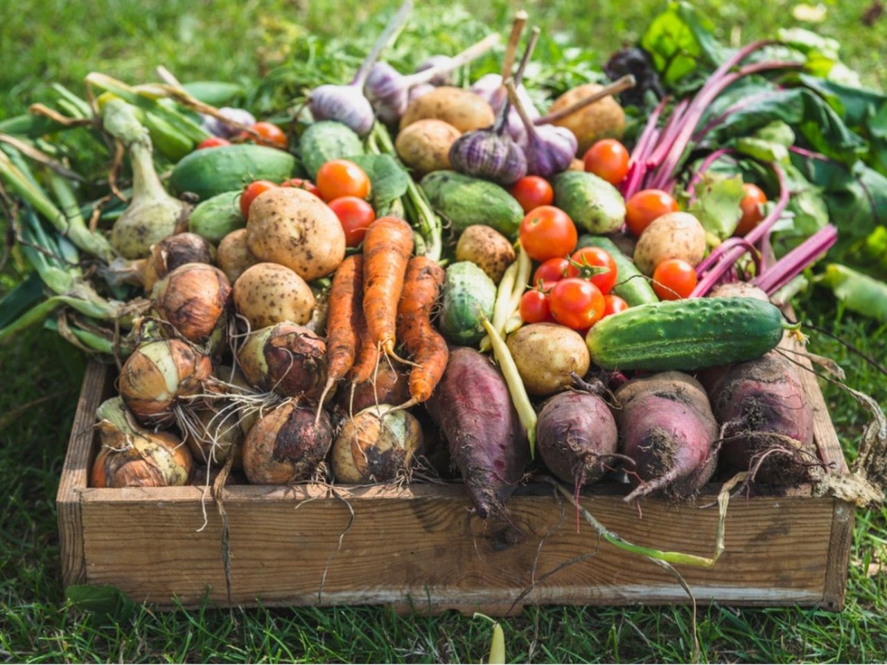 Box Full Of Vegetables From The Garden