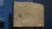 A piece of the Abee meteorite on display at the American Museum of Natural History in New York.