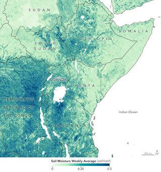 This map shows the average soil moisture over eastern Africa for Jan. 14-20, 2020, during the beginning of the locust invasion. The preliminary soil moisture estimates were created using data from NASA's Cyclone Global Navigation Satellite System (CYGNSS) microsatellites.