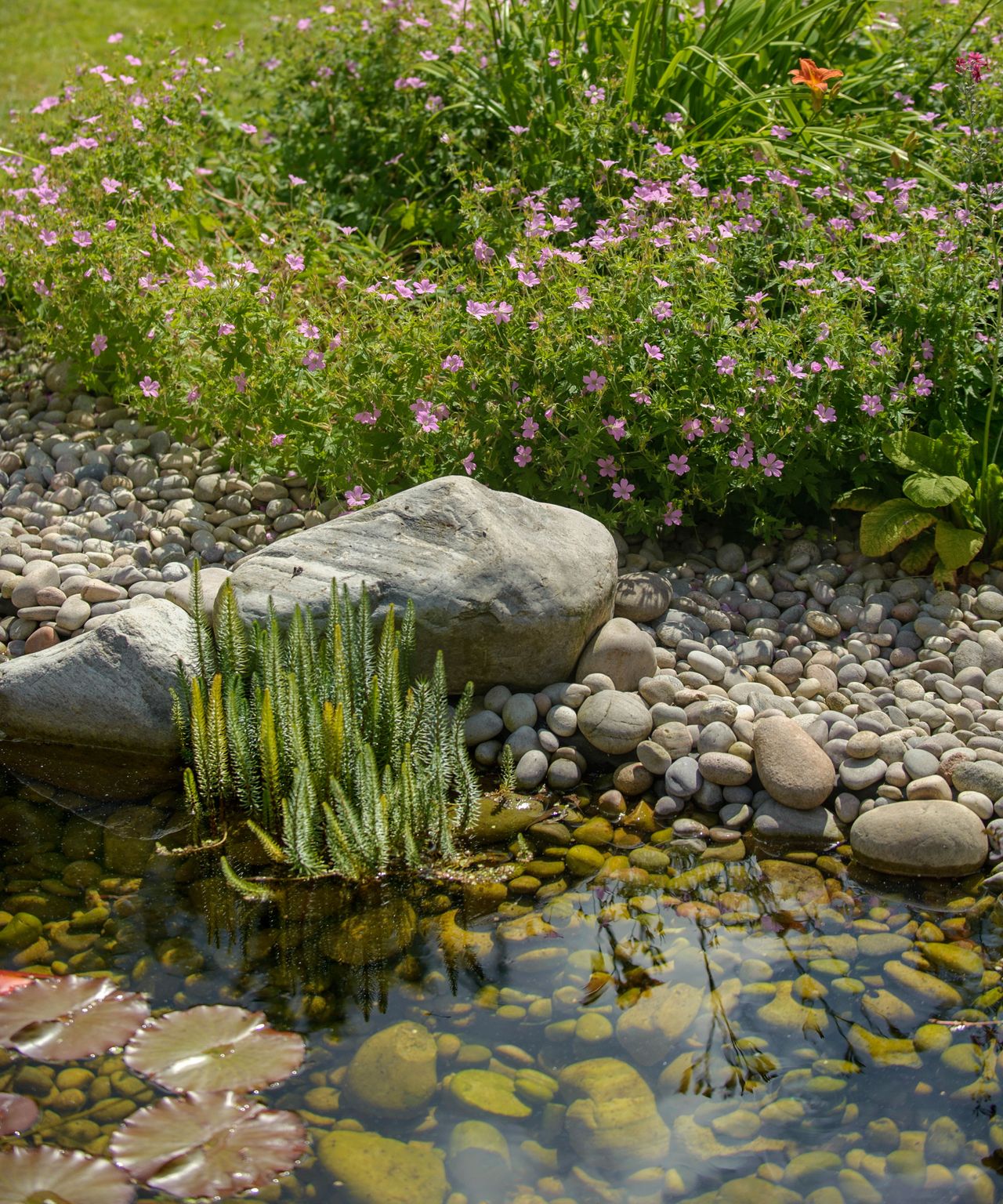small natural pond landscaped with pebbles and planting
