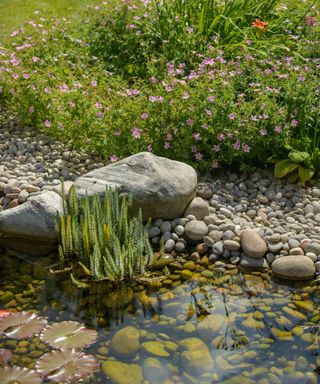 small natural pond landscaped with pebbles and planting