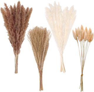 four bunches of pampas grass