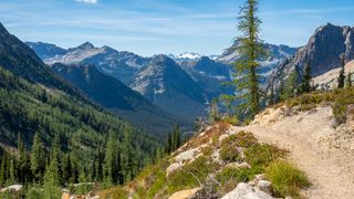 Pacific Crest Trail with North Cascades Peaks in distance