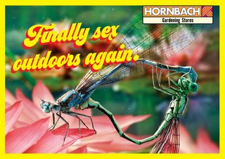 Hornbach sexy insects ads