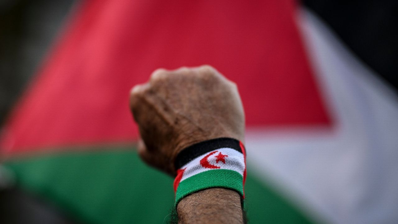 A protester at a pro-Palestinian rally in Lisbon, 9 October 2023