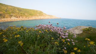 Rokinon/Samyang 14mm f/2.8 lens review: image shows Cornish landscape