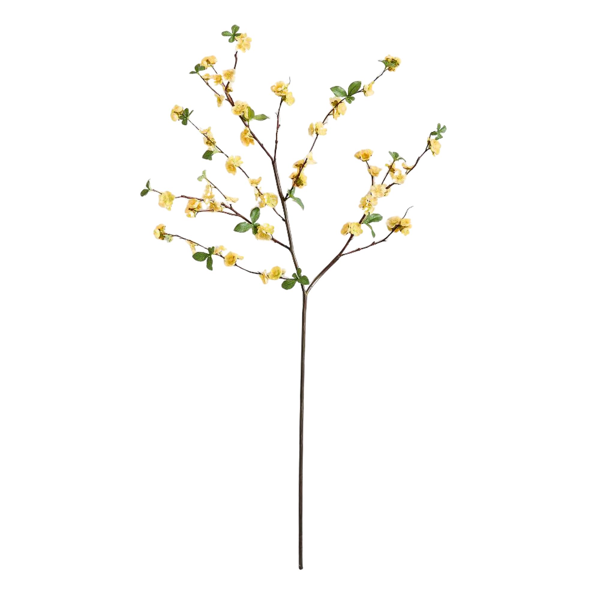 Pottery Barn, Quince Branch