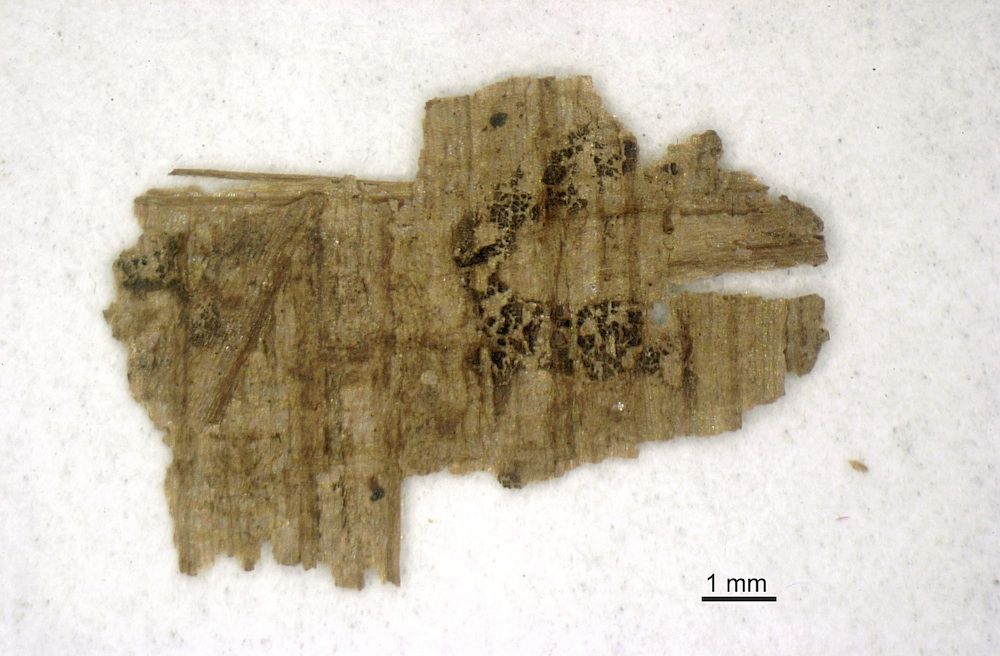 Images: The Gospel of Judas