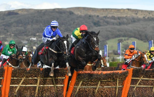 Cheltenham Festival - St Patrick's Thursday