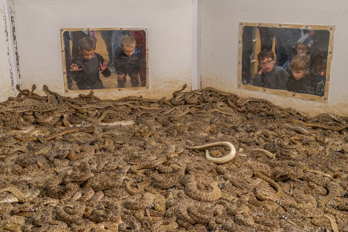 A winning image from the Environmental Photography Awards