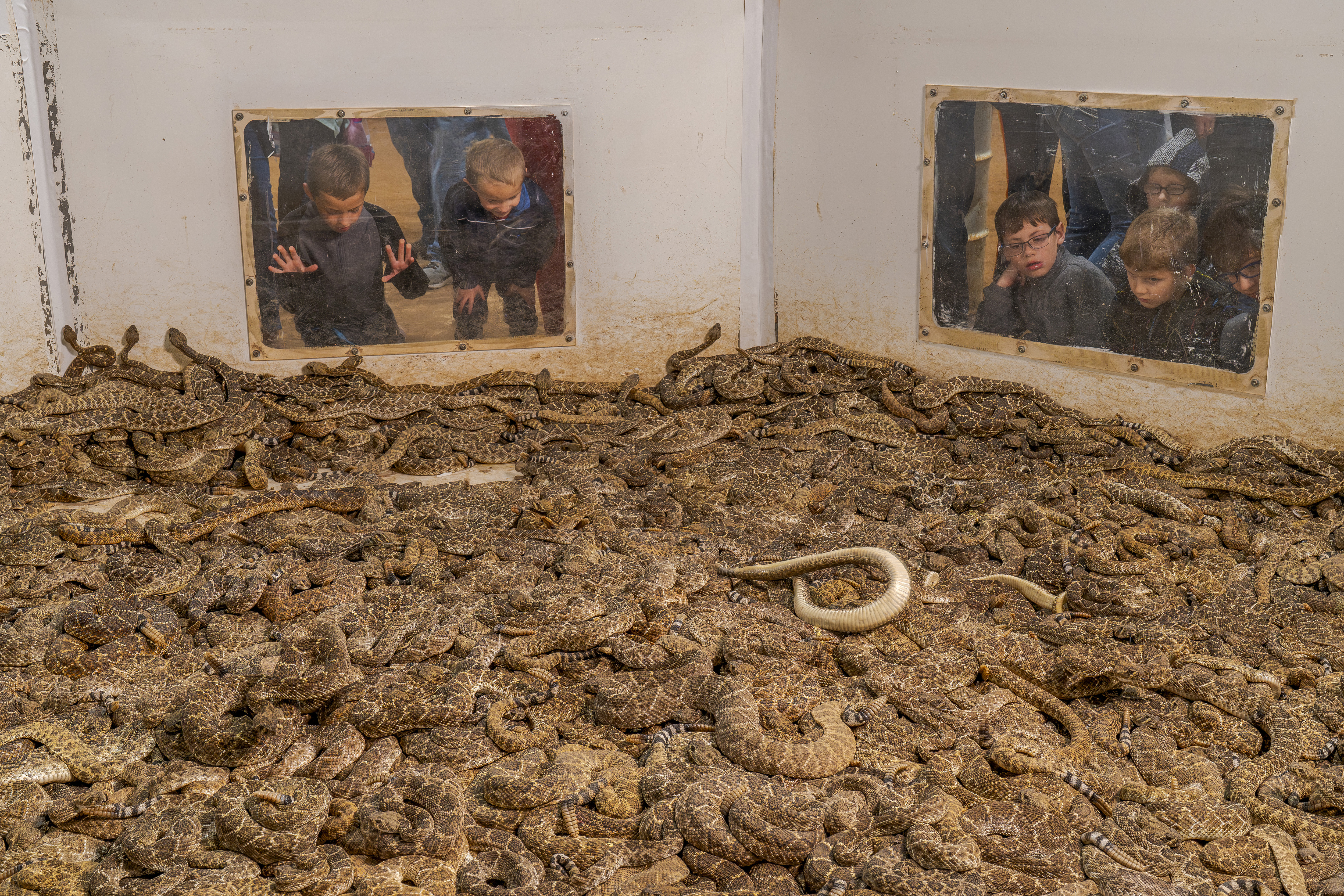 A winning image from the Environmental Photography Awards