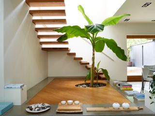 staircase with houseplant in center