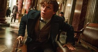 newt fantastic beasts and where to find them