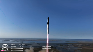 a giant rocket rises into a blue sky, with wetlands in the background