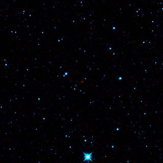 NASA Sky-Mapping Spacecraft Spots First New Asteroid