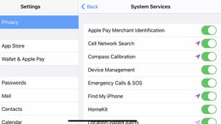 The iOS System Services menu