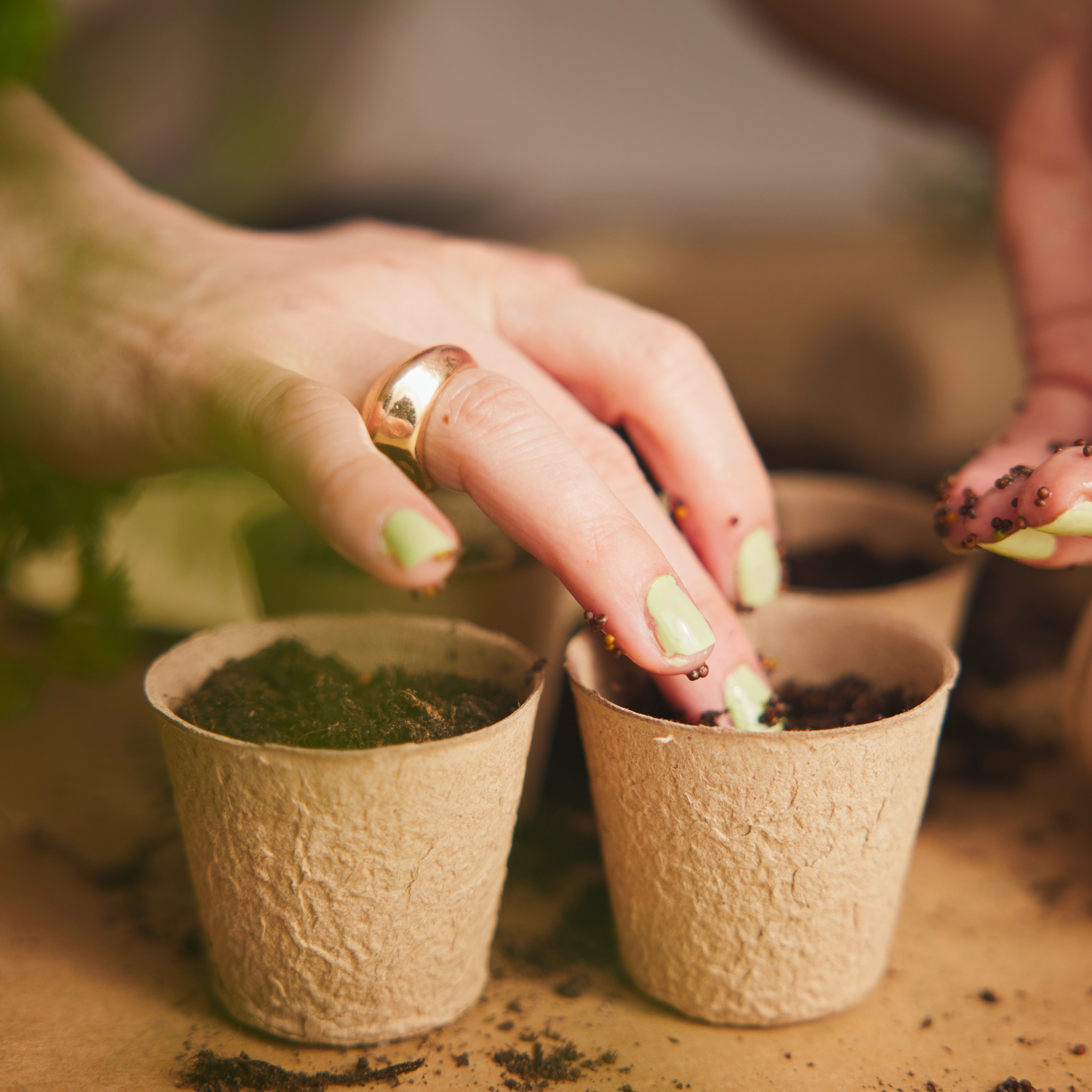 woman's hands planting seeds