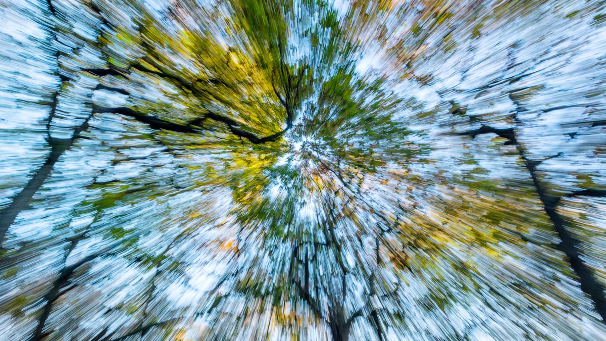 How to create motion blur in-camera