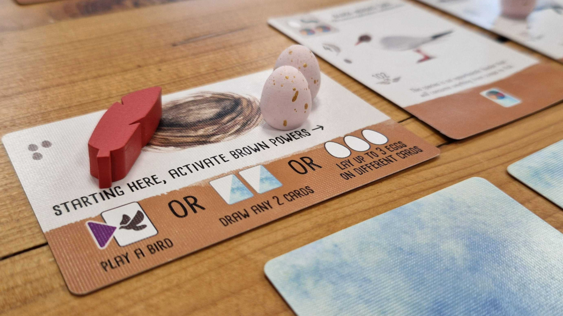 A nest card with eggs and feather tokens on top of it, beside other Wingspan Pocket cards that sit on a wooden surface
