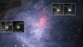 a starry image filled with gas and dust with insets labeling the location of protoplanetary disks.