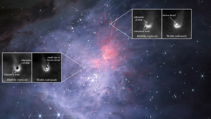 Infrared image of the center of the Orion Nebula taken with the NIRCam instrument on NASA&#039;s James Webb Space Telescope with inserts marking protoplanetary disks around failed star brown dwarfs