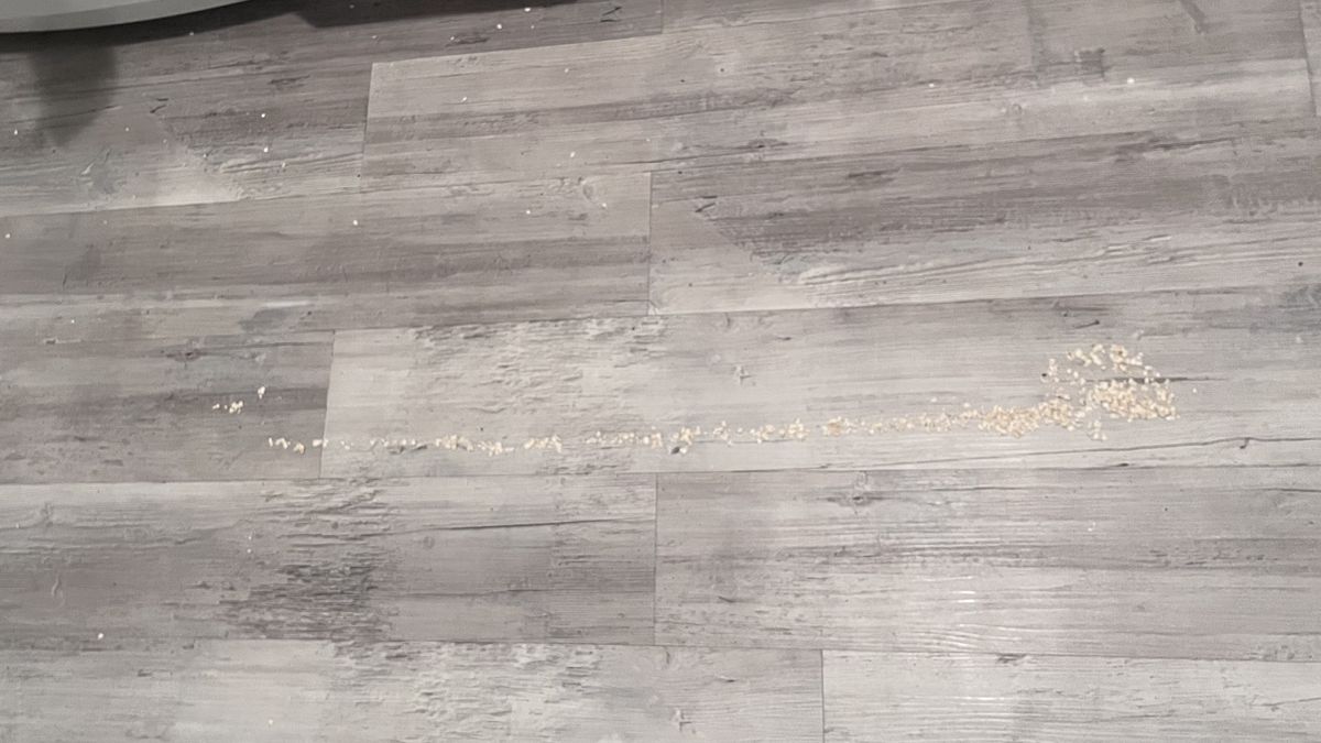 Trail of oats left behind by the DEEBOT X2 OMNI robot vacuum cleaner